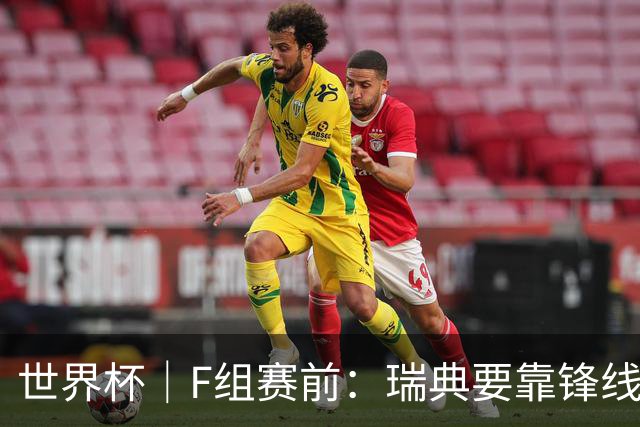 世界杯｜F组赛前：瑞典要靠锋线双星 突尼斯欲出线